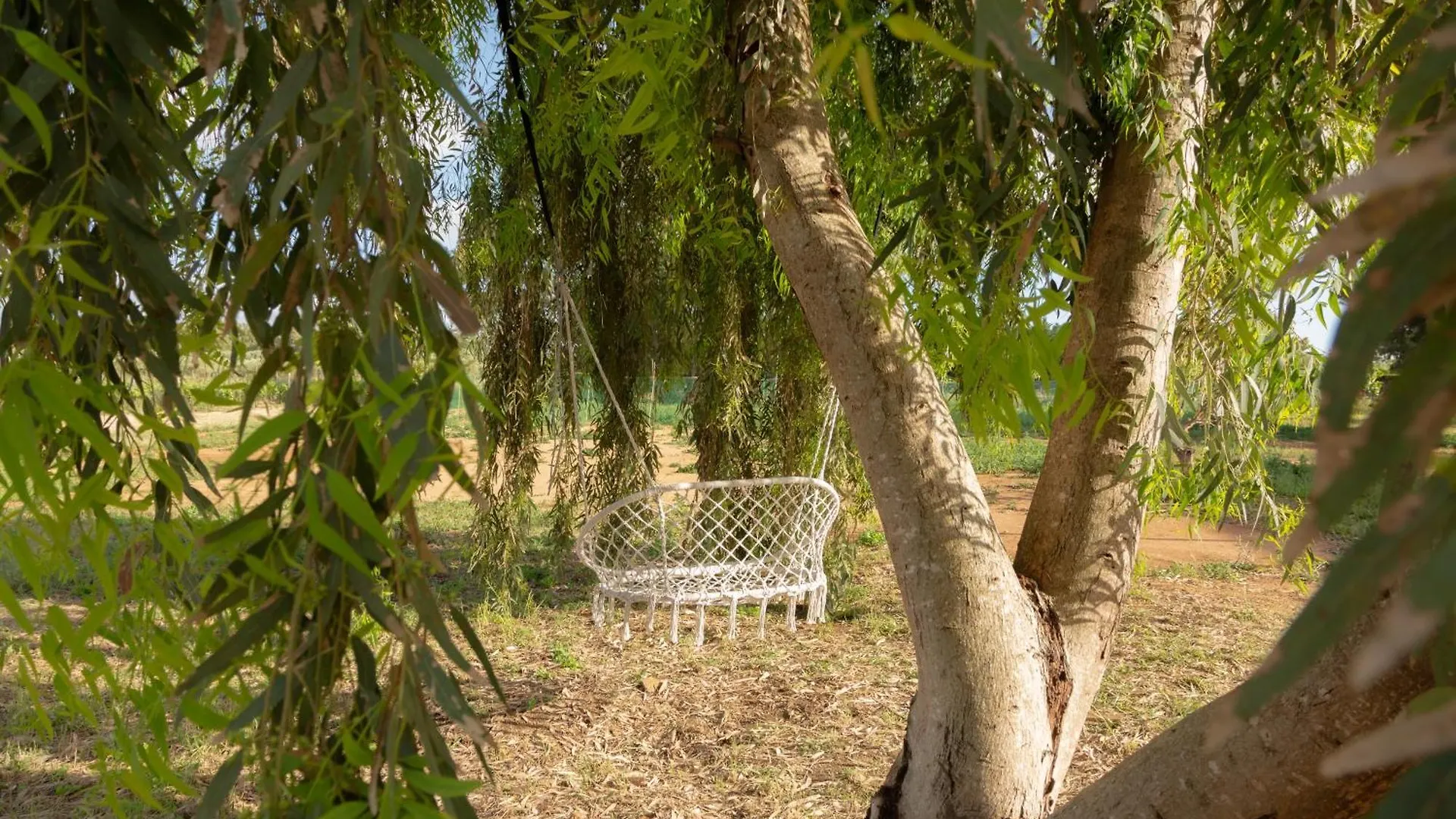 Maris Suite - Appartamento Con Vasca Idromassaggio Alghero 0*,